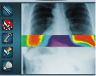 Crazy catscan online